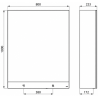Armoire miroir 3 fonctions : Miroir, distributeur de savon, distributeur d'essuie-mains Delabie