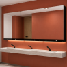 Armoire miroir 3 fonctions : Miroir, distributeur de savon, distributeur d'essuie-mains Delabie