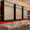 Armoire miroir 4 fonctions : Miroir, sèche-mains, distributeur de savon, robinet automatiques Delabie