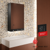 Armoire miroir 4 fonctions : Miroir, sèche-mains, distributeur de savon, robinet automatiques Delabie