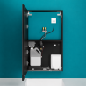 Armoire miroir 4 fonctions : Miroir, sèche-mains, distributeur de savon, robinet automatiques Delabie