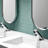 Mitigeur de lavabo automatique TEMPOMATIC MIX 4 DELABIE
