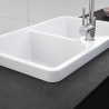 Évier timbre 2 bacs 80 cm Belfast BAK720 Franke