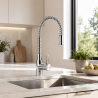 Mitigeur de cuisine TORUS Sanindusa