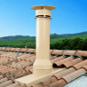 Sortie de toit Inox- Inox couleur Poujoulat