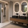 Ensemble 2 Mitigeurs encastrés lavabo + Colonne de douche + 2 Bondes Sirius Kroos