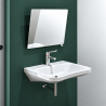 Miroir inclinable avec poignée - sanitaire PMR - Delabie