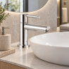 Robinet lavabo 1 seule eau ou pré-mélangeur