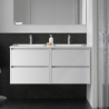 Meuble sous vasque + double vasque Noja Salgar