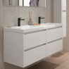 Meuble sous vasque + double vasque Noja Salgar