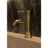 Ensemble mitigeur lavabo + bonde + colonne de douche + mitigeur bain Corbeau