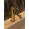 Ensemble mitigeur lavabo + bonde + colonne de douche + mitigeur bain Corbeau