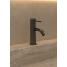 Ensemble mitigeur lavabo + bonde + colonne de douche + mitigeur bain Corbeau