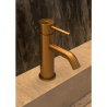 Ensemble mitigeur lavabo + bonde + colonne de douche + mitigeur bain Corbeau