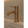 Ensemble mitigeur lavabo + bonde + colonne de douche + mitigeur bain Corbeau