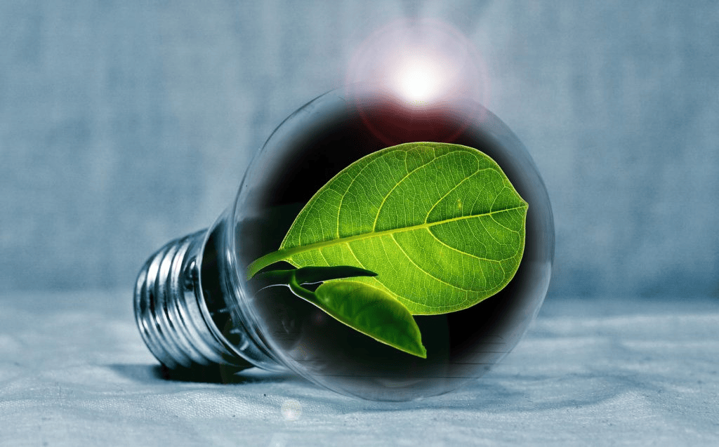 chaudière-électrique-écologique.png