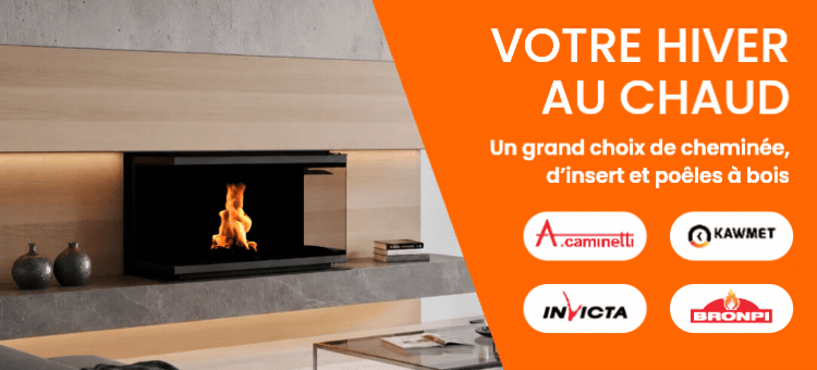 Chauffage au bois Cheminée insert et foyer